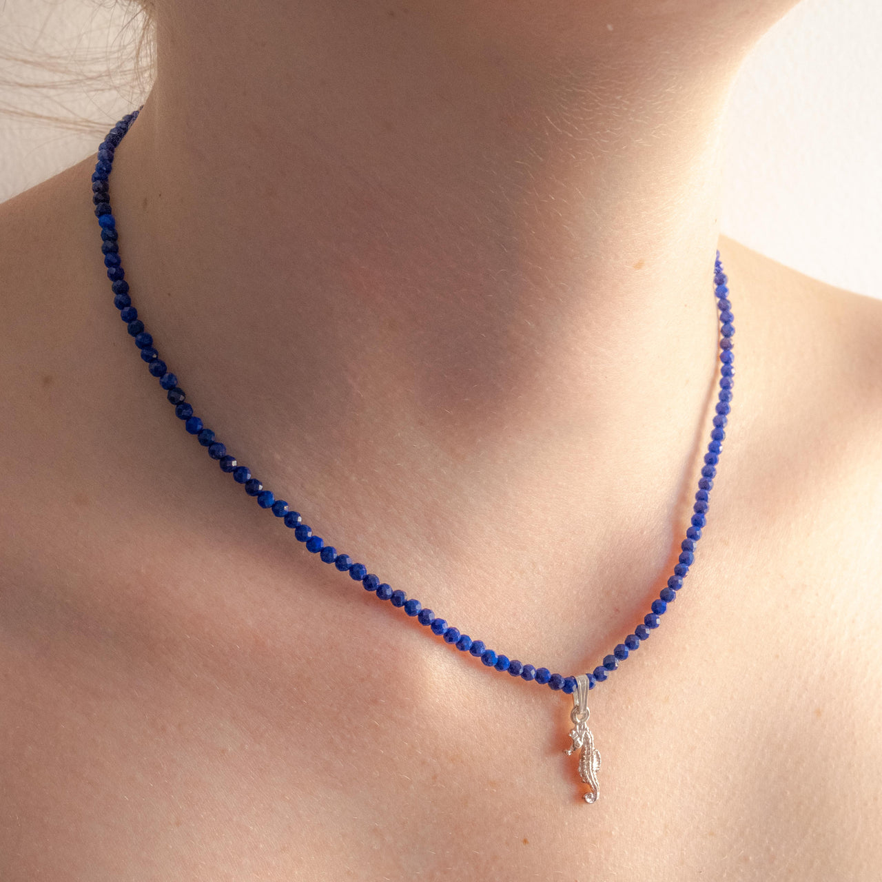 Sterling Silver Lapis Lazuli & Seahorse Charm Necklace - Empaness