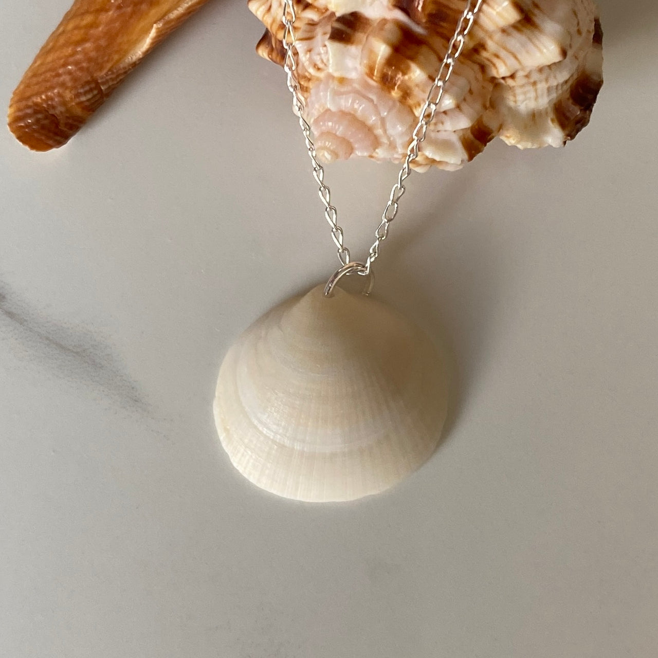 Natural Sea Shell Sterling Silver Necklace