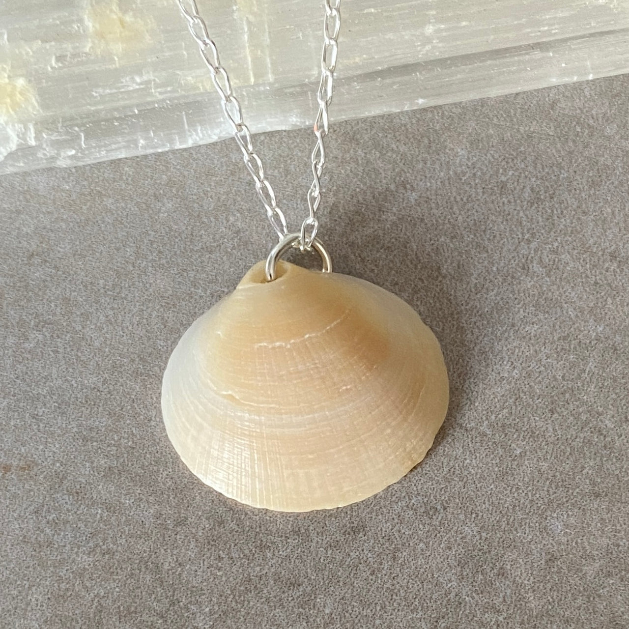 Sea Shell Sterling Silver Necklace